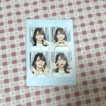 사사키 마이카 4컷 포토카드