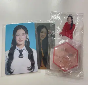 사쿠라이 미우 아크릴 스탠드 트레이딩 카드 세트