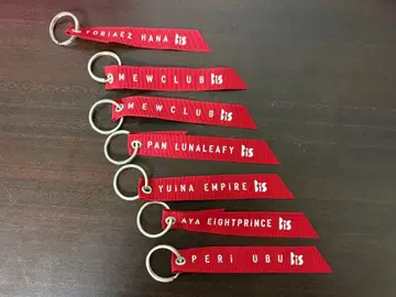 2기 BiS 플라이트 택 세트