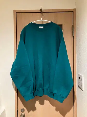 TULTEX 맨투맨 터콰이즈 블루 XL