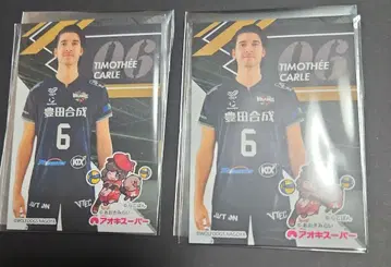울프독스 나고야 티모시 컬 아오키 슈퍼 카드
