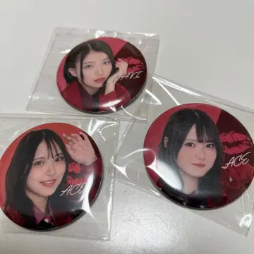 WHITE SCORPION (화이트 스콜피온) 캔뱃지 세트