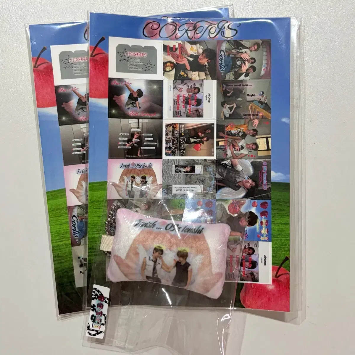 Cortis Riku sticker & cushion keyring (Seonghyeon, Geonho)