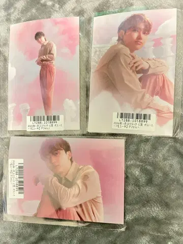 초특급 유키 키라리 브로마이드