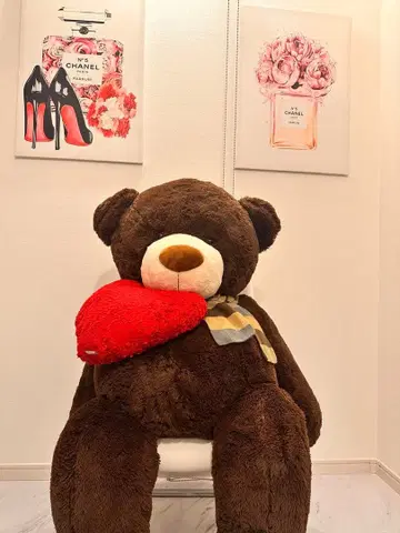 빅 브라운 곰 봉제 인형 하트 포함