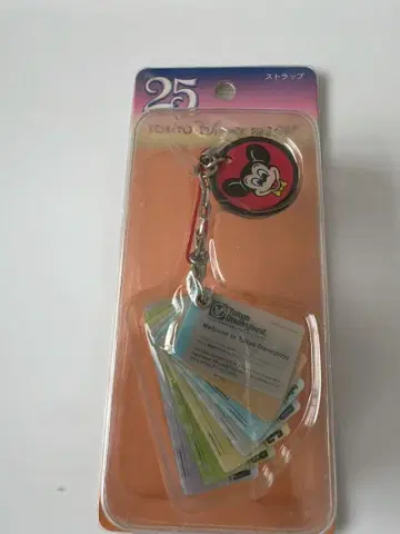 디즈니 리조트 25주년 어트랙션 티켓 빅 10