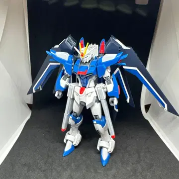 HG 라이징 프리덤 건담