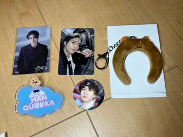 straykids 한 HAN 키링 트레이딩 카드