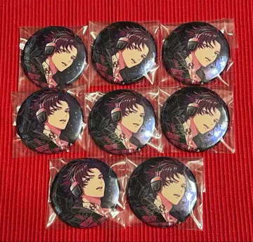 파라라이 6주년 캔뱃지 아렌