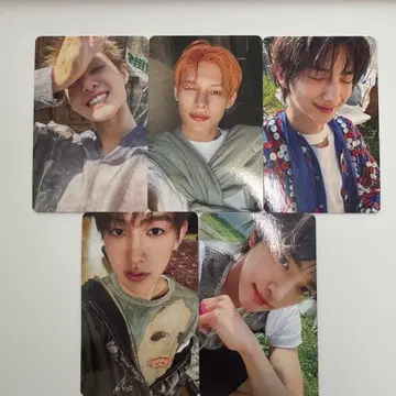 Cortis Weverse jp 한정판 혜택 트레이딩 카드 5장 세트