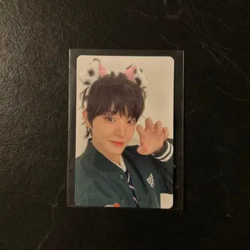 TREASURE 굿즈 구매 혜택 트레이딩 카드 지훈