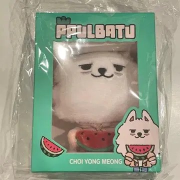 TXT 뿔바투 팝업 봉제 인형 키링 수박 수빈