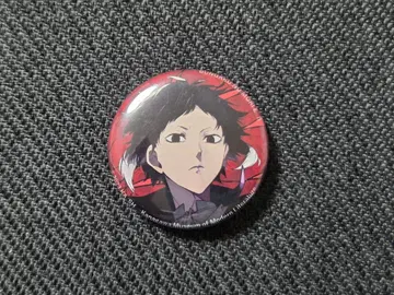 문호 스트레이독스 아쿠타가와 캔뱃지