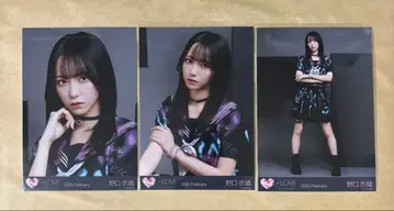 노구치 이오리 이코노이조이 2024 마지조 컴프 브로마이드 이코럽