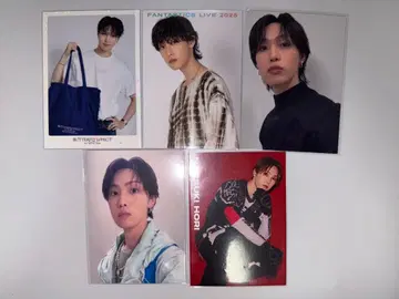 호리 나츠키 포토 카드 판타