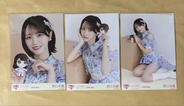 노구치 이오리 공식 봉제 인형 컴프 브로마이드 이코러브