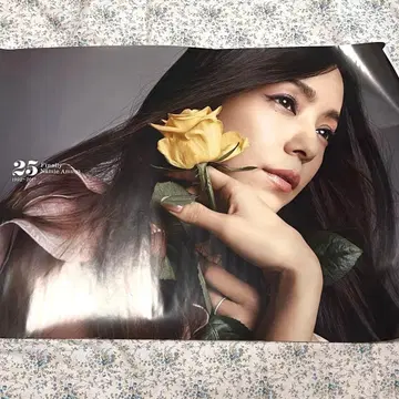 아무로 나미에 포스터 Finally