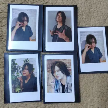 [ 구매 전 댓글 부탁드립니다 ] ViViD RENO 사진 5장 세트