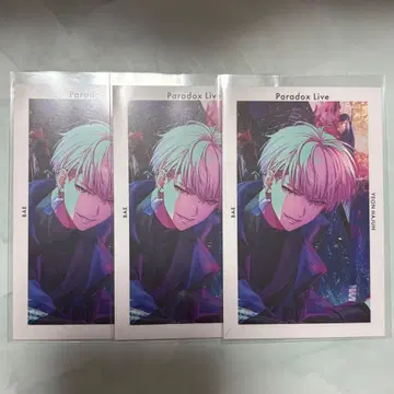 파라라이 여름준