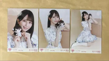 사사키 마이카 공식 봉제 인형 컴프 브로마이드 이코러브