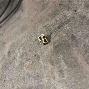 딸리아또레 라펠 핀