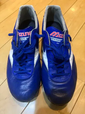 모렐리아 파랑 28cm