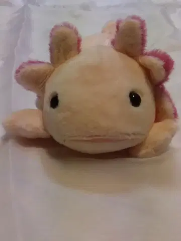 우파루파 소품함