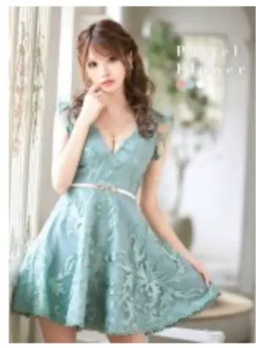 핑크 플라워 자수 V넥 A라인 드레스