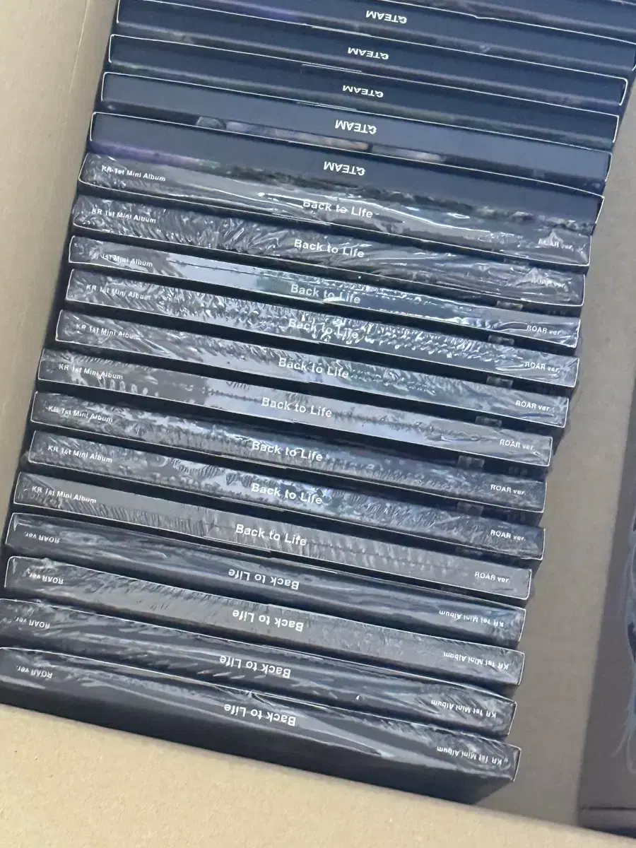 &team Back to Life sealed album Lower