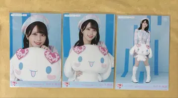 사사키 마이카 시나몬 시나모롤 컴프 브로마이드 이코러브