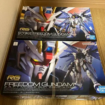 RG 스트라이크 프리덤, 프리덤