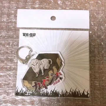 대 카이지전 한정판 역경 회고록 카이지견 아크릴 키링