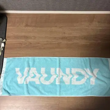 VAUNDY 로고 타월 스카이블루