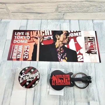 야자와 에이요시 도쿄돔 이틀째 키링 티켓 외 4649