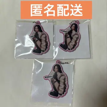 aespa 에스파 아크릴 키링 랜덤 토이 3종 세트