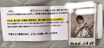 노기자카46 카와사키 벚꽃 폴라로이드