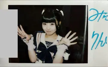 iLiFE! 니지하네 미니 사인 포함 니지하네 미니 포즈