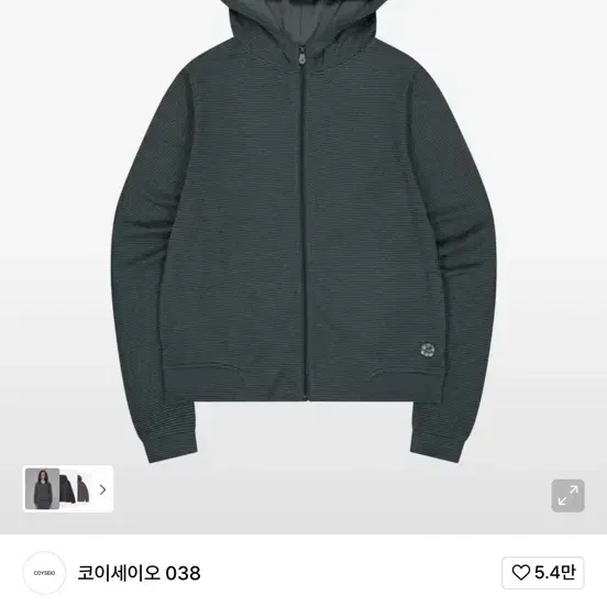 COYSEIO | 코이세이오 New) Koi Sei O 038 Stripe Zip-up Charcoal on