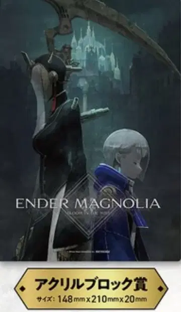 엔더마그놀리아 아크릴 블록