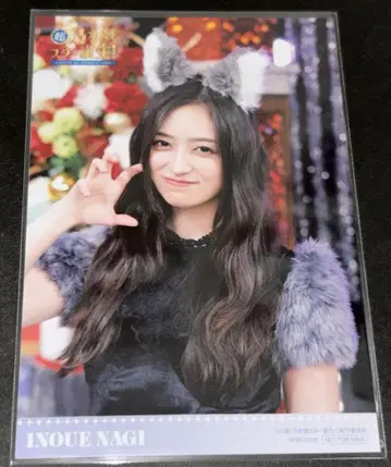 노기자카46 이노우에 와카시 브로마이드 초 노기자카 스타 탄생! 제4권