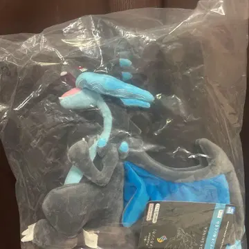 포켓몬 메가진화 제일복권 A상 메가 리자몽