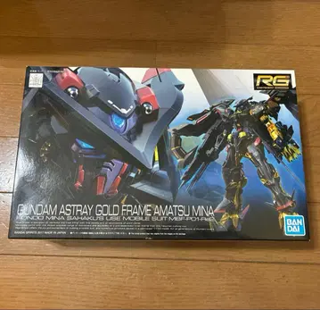 RG 건담 아스트레이 골드 프레임 천미나