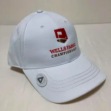 Wells Fargo x ahead M Putnam 캡 프리 사이즈