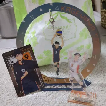 하이큐!! 카게야마 토비오 아크릴 스탠드