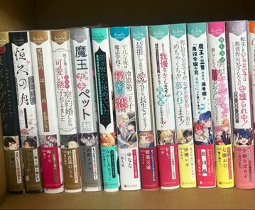 bl 소설 묶음 판매 대형 사이즈 13권 안달슈 노벨즈 세트