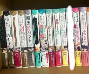 bl 소설 묶음 판매 대형 사이즈 12권 안달루슈 노벨즈 세트