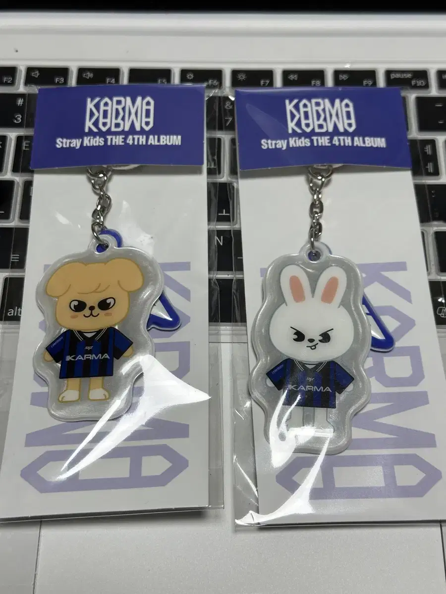 Stray Kids Karma Pop-up Volume Keyring