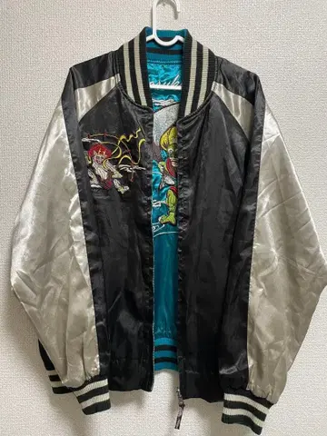 스카잔 리버서블