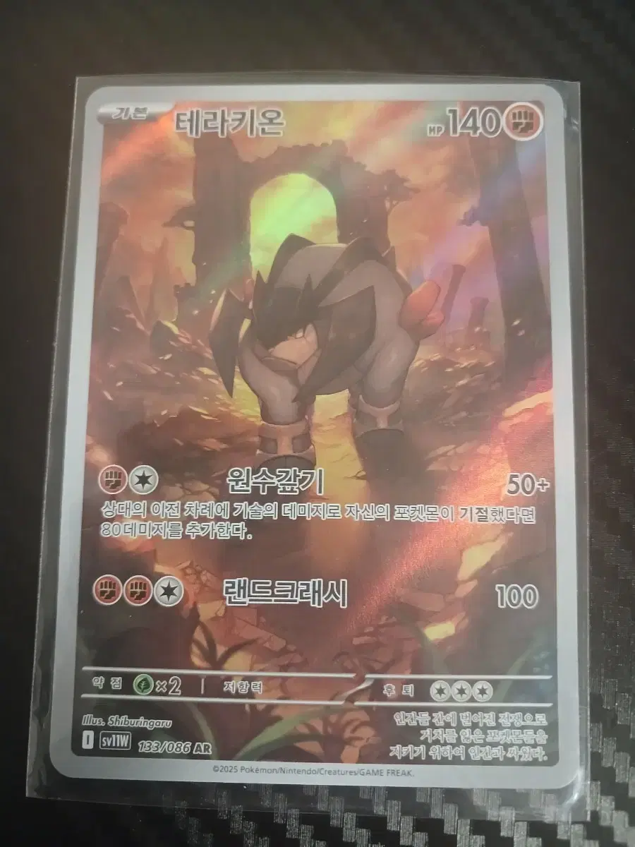 Pokemon Card Terrakion AR