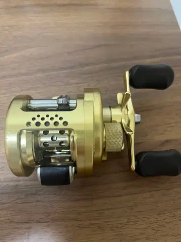 01 칼커타 네이비 100